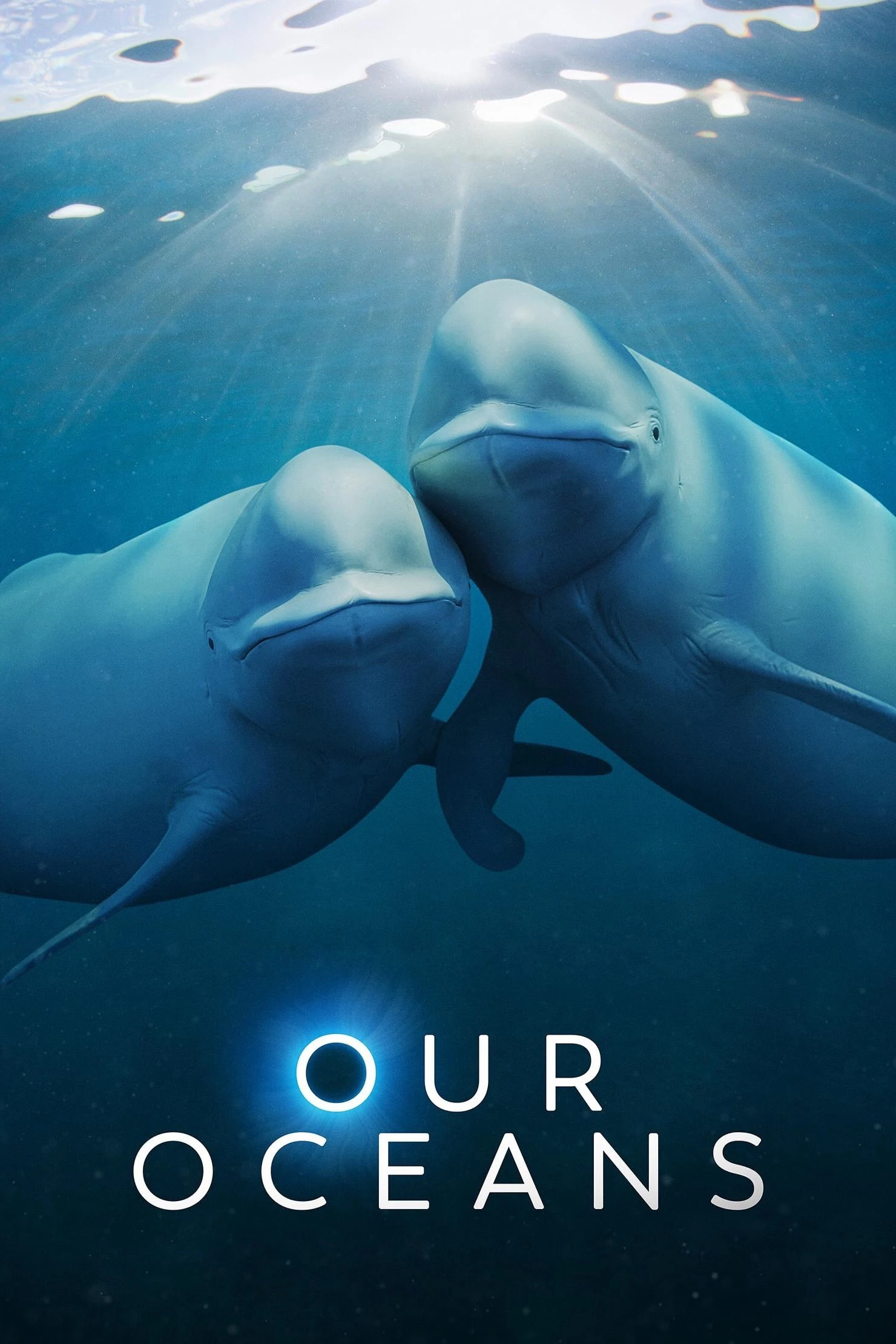 Phim Đại dương của chúng ta - Our Oceans (2024)