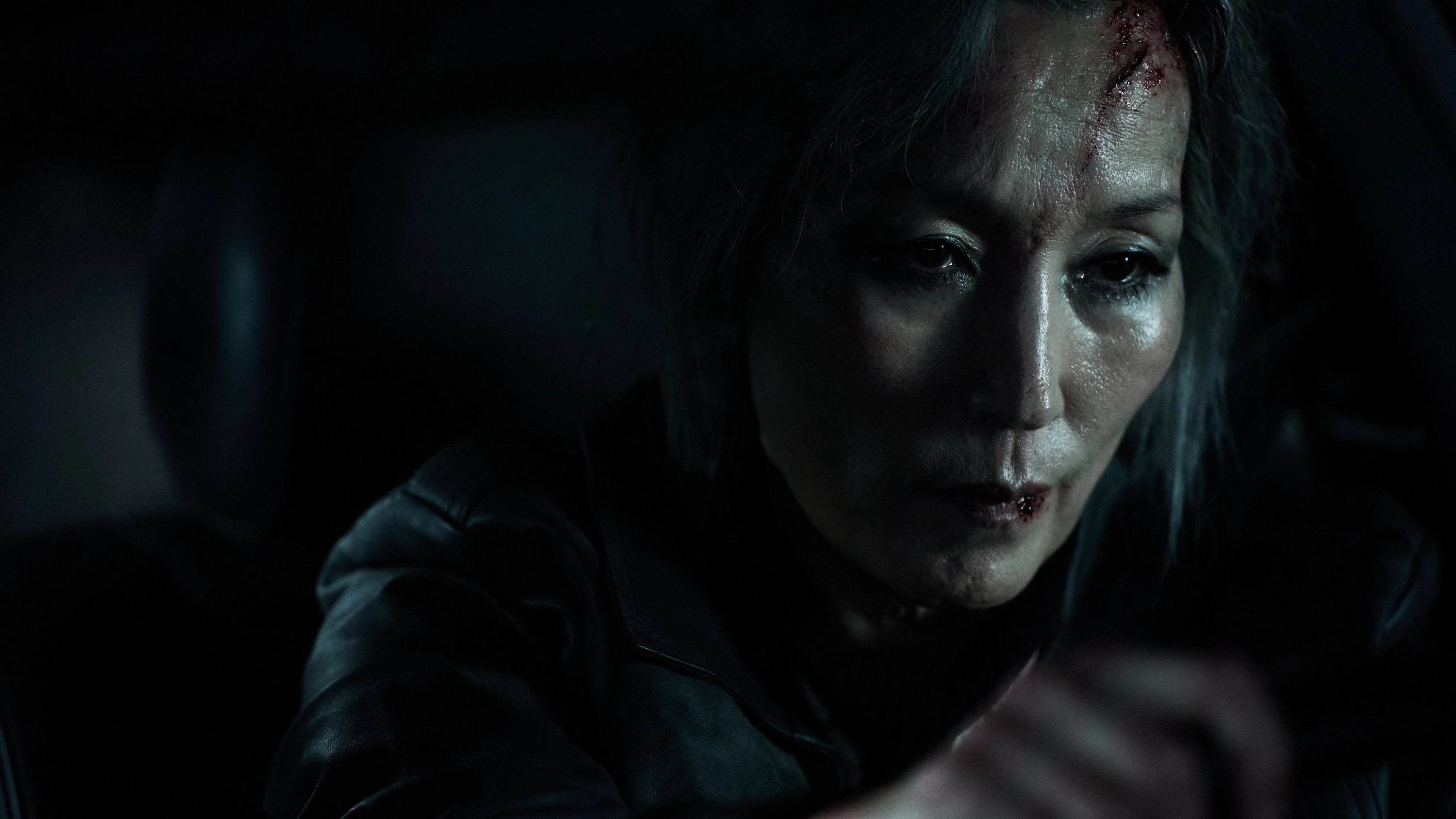 Phim Đại Mẫu - The Old Woman with the Knife (2025)