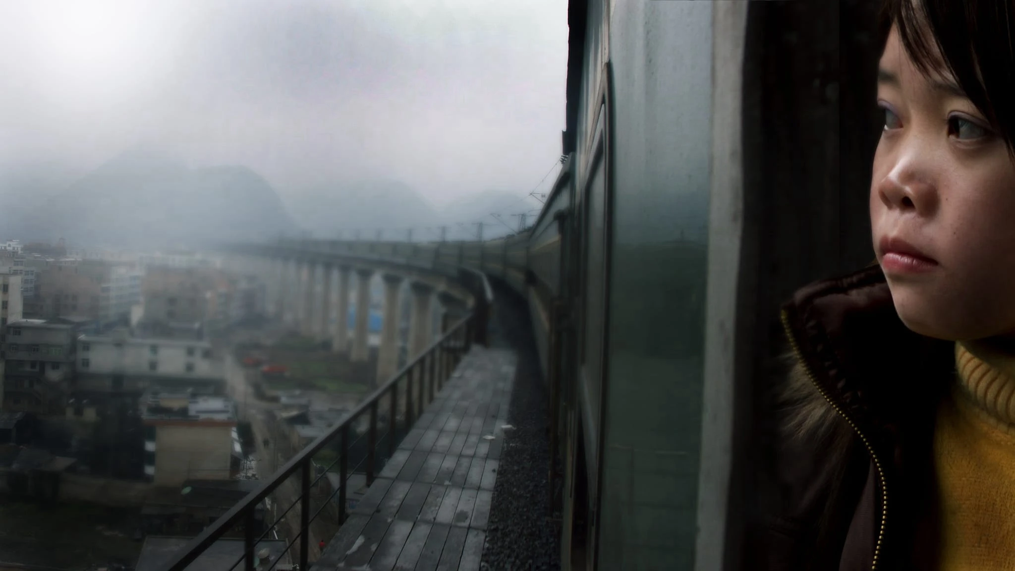 Phim Last Train Home - Last Train Home (2009)